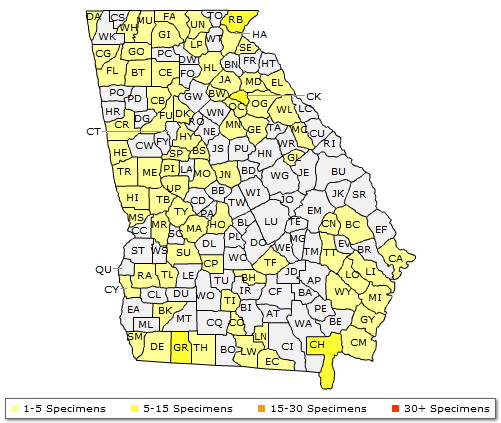 The range of Alnus serrulata